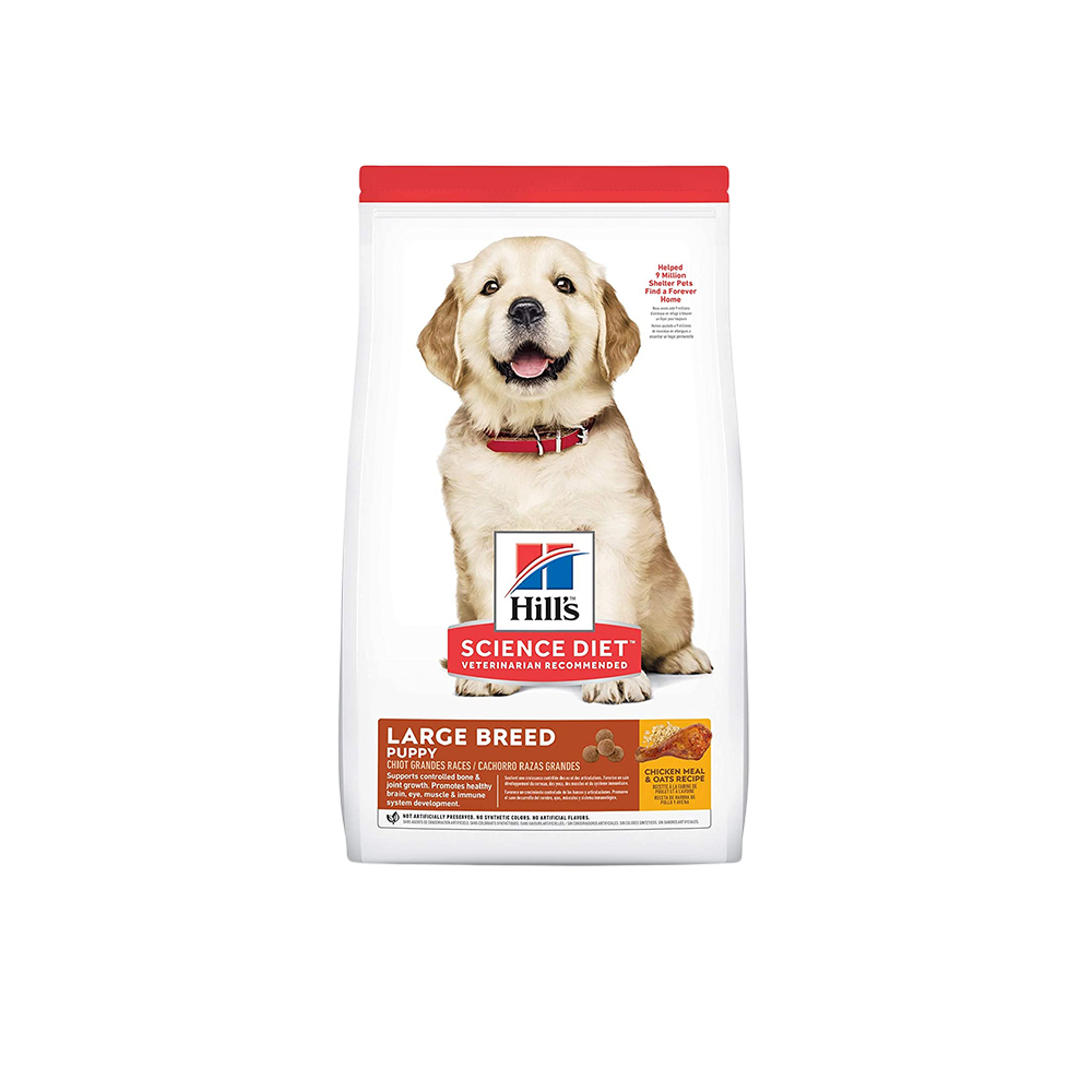 Large breed puppy